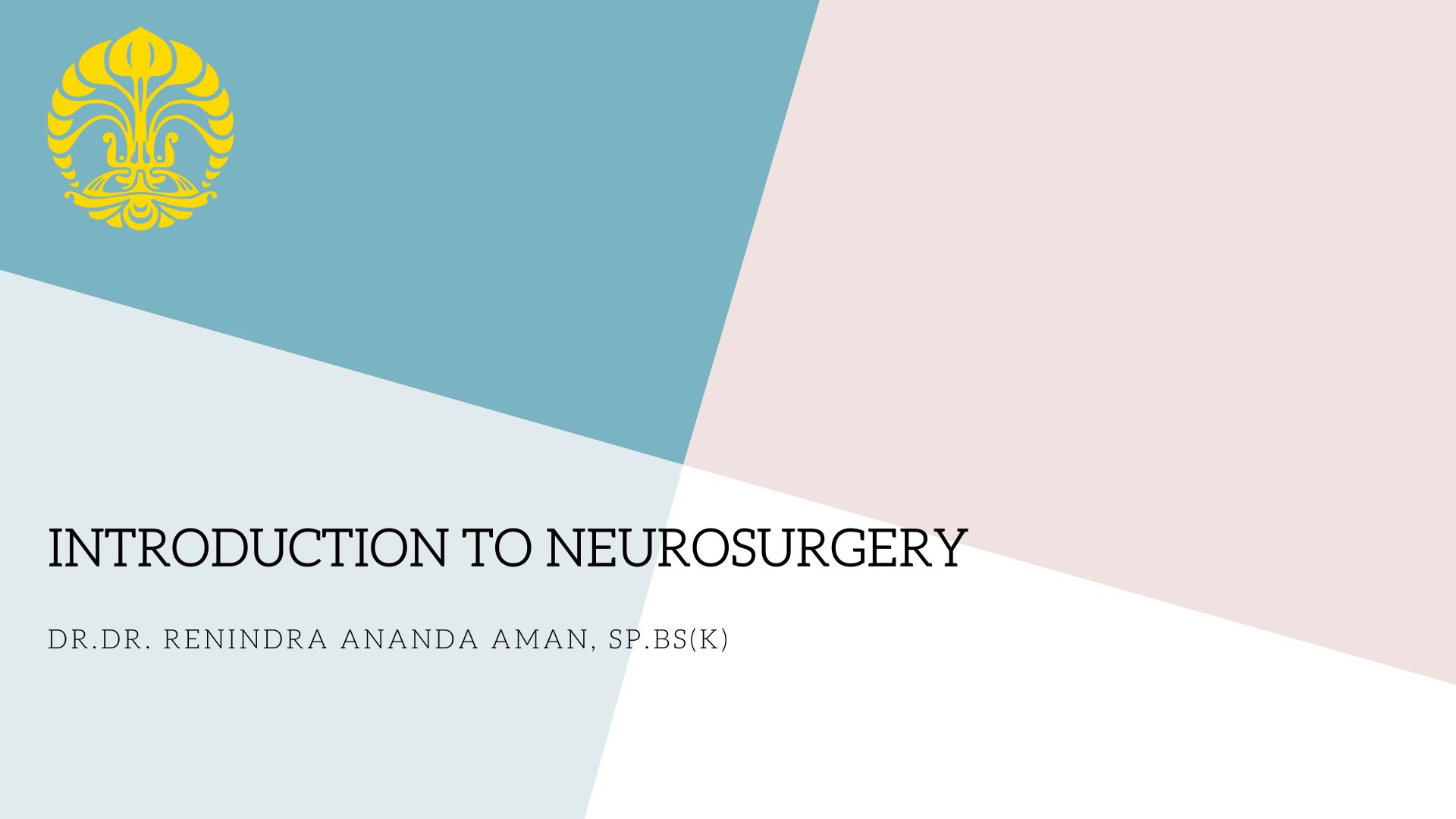 Introduction to Neurosurgery MOOC000304